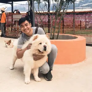 Ticipet - thế giới thú cưng