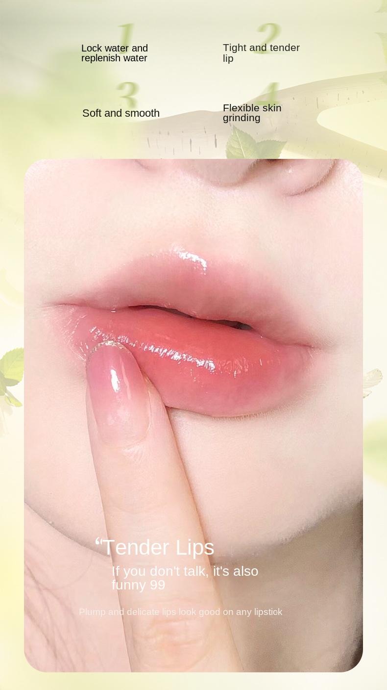 Product Introduction of Kakashow Rich Moist Lip Balm Hydrating Moisturizing and Nourishing Anti-Chapping Fading Lip Lines Full Lips Cheap Wholesale Skincare Moisturizer 1