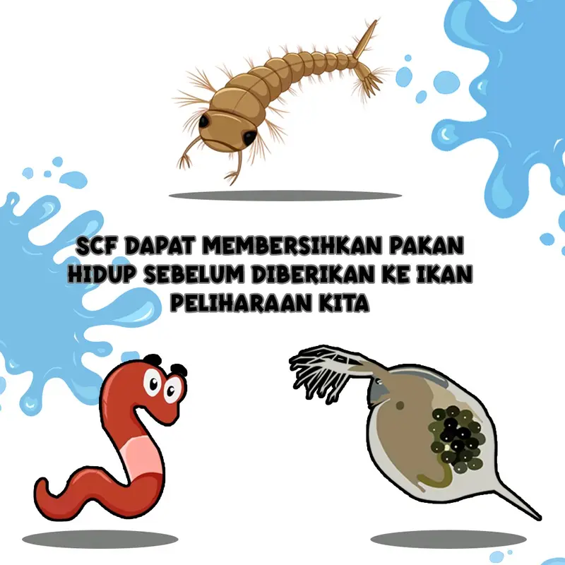 SCF Fish Solution Khusus Ikan 3