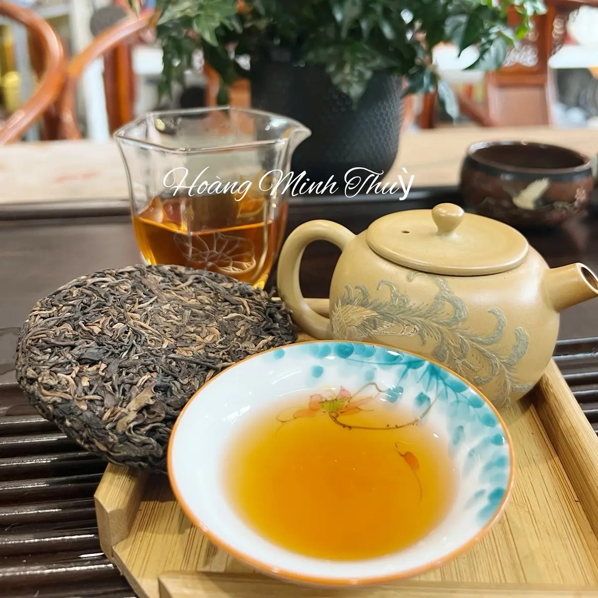 Bánh Trà Phổ Nhĩ Sống Đặc Biệt