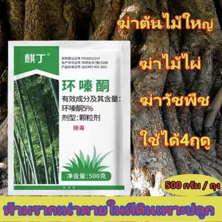 500G สารกำจัดกอไผ่ สารกำจัดต้นไผ่ ยาฆ่าต้นไม้ บรรจุ ยาฆ่าต้นไม้ยาฆ่าตอไม้สารกำจัดกอไผ่ สูตรเข้ม ข้นกำจัดวัชพืชรากเน่าผลติดทนนาน สร้างมาเพื่อฤดูฝน ยาฆ่าตอต้นไม้ แค่โรยเพียงเล็กน้อย กำจัดวัชพืชเปิด ที่รกราง ต้นไม้ใหญ่ไม้ไผ่ ยากำจัดต้น