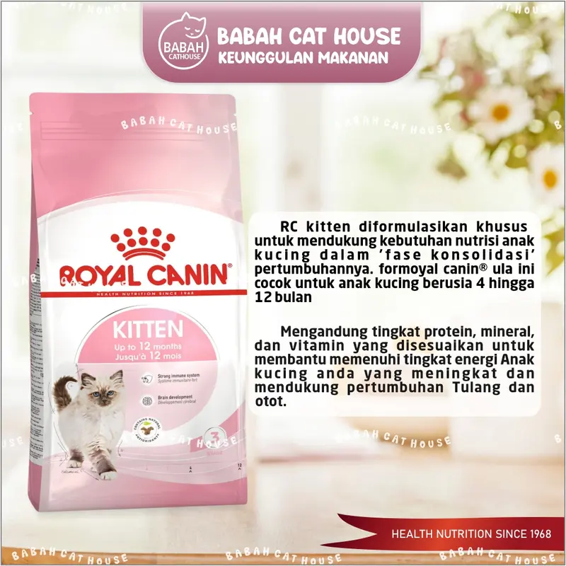 Royal Canin KITTEN 2KG Cat Food Rc Makanan Anak Kucing 2bulan Dry 2 Kg Catfood Royalcanin Kiten Anakan Baby Persian Kecil 36 Murah 1