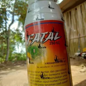 Fatal Obat Keong Sawah Cair
