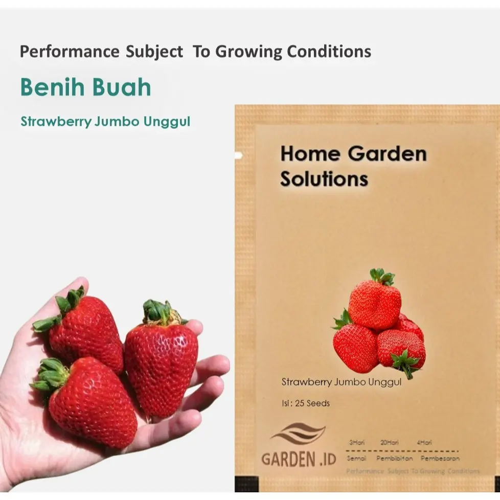 Benih Bibit Tanaman Buah Strawberry Jumbo Unggul Benih Buah Stroberi Giant Berry Unggul ( isi 25 Biji ) Tanaman