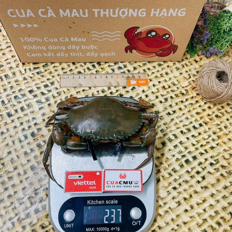 Cua Thịt+Gạch size 4 con/kg - CUACMU chấm Vn