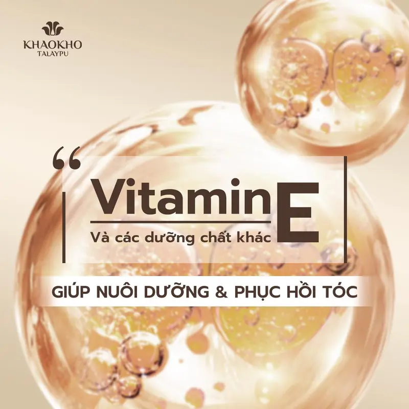 [DUY NHẤT TRONG LIVE] Combo Gội Xả Thảo Dược Organic Rau Má Và Chanh KHAOKHO TALAYPU Công Thức Cải Tiến Mới 185ml/330ml 3