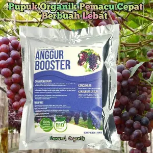 Pupuk Booster Anggur Cepat Berbuah Lebat Pupuk Pelebat Anggur Terbaik