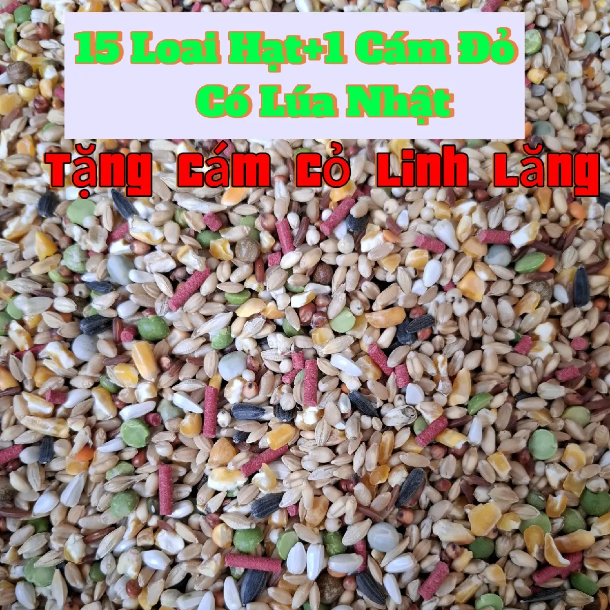 5 kg Ngũ Cốc Gà 15 hạt,1 Cám Đỏ,Có Lúa Nhật(Tặng Cám Cỏ Linh Lăng)