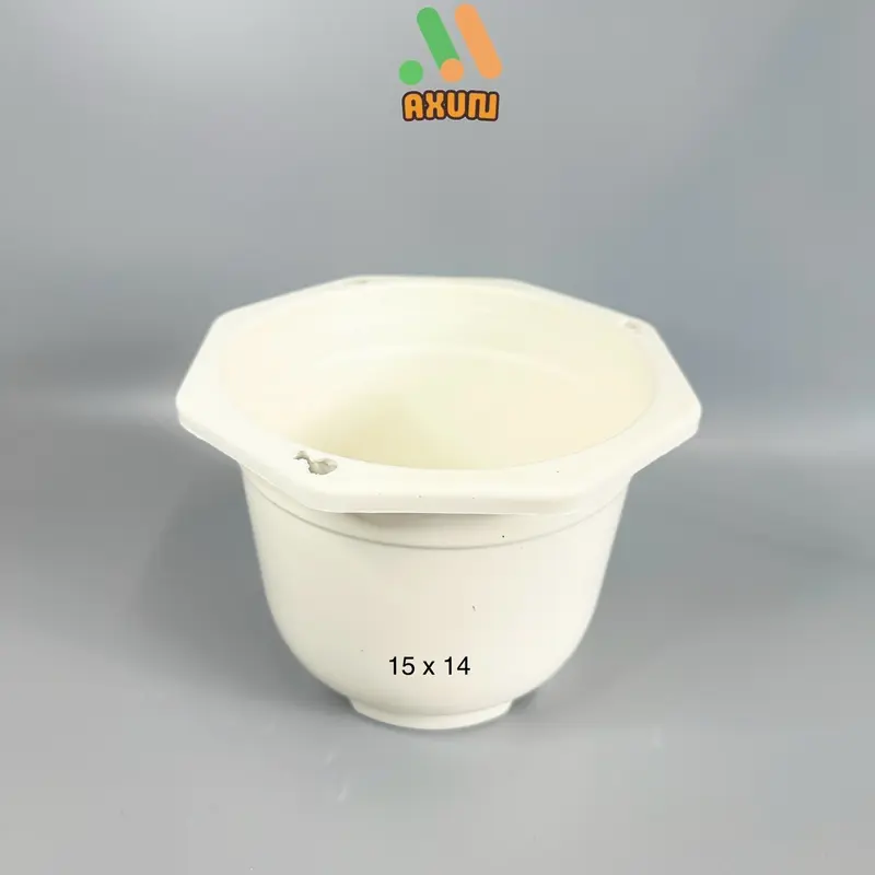 Chậu nhựa cứng tròn trắng mini trồng sen đá và xương rồng 4