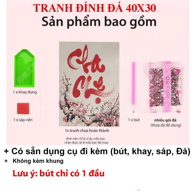 Tranh Cha Mẹ - Tranh Đính Đá 5D Tự Hoàn Thành Kích Thước 40x30cm - Tranh Gắn Đá DIY 4