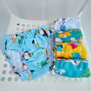 Celana Dalam Anak Motif Paket 12 Pcs