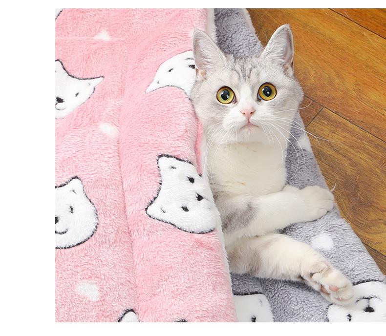 Product Introduction of Thickened Autumn and Winter Warm Floor Mat, Cat for Common Dogs Blanket Mat 13