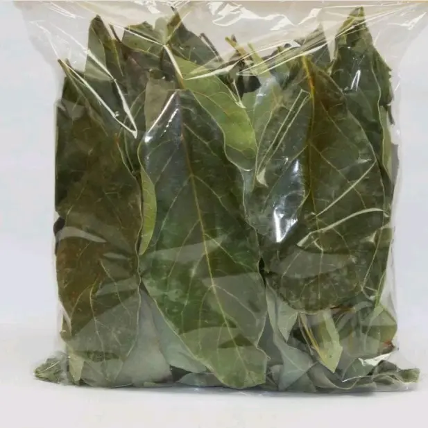 murah daun alpukat kering Obat berbagai jenis penyakit 300gr