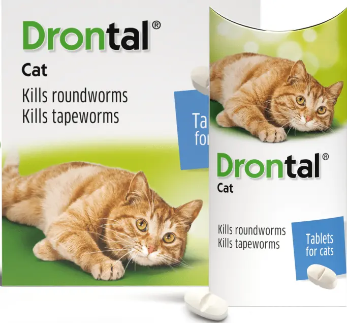 Drontal Cat viên sổ giun cho mèo (1 viên cho 4kg)