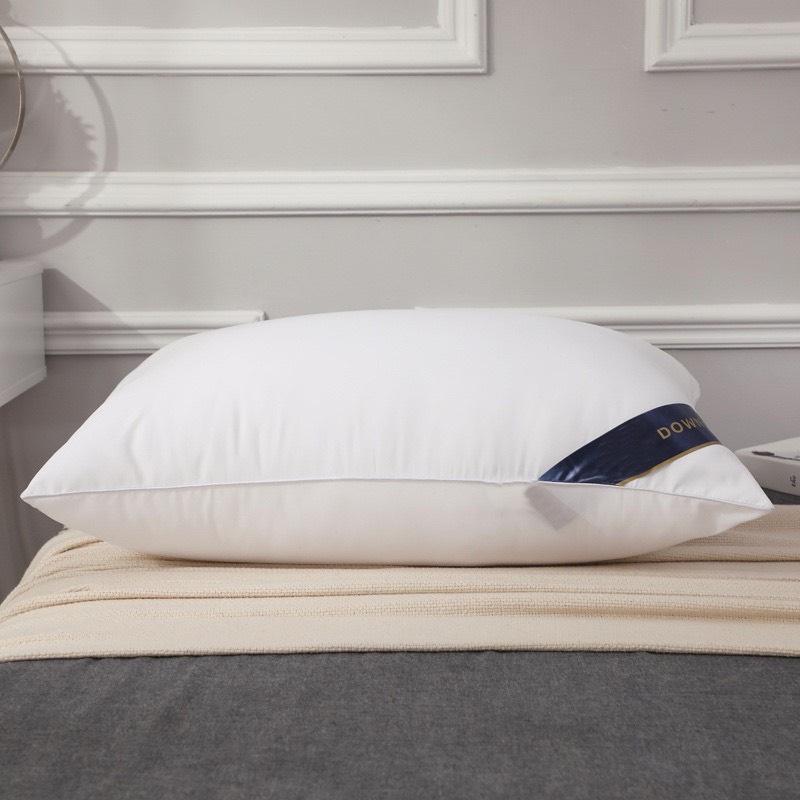 Product Introduction of COMBO 2 ruột gối Hinlton chuẩn tem mac cao cấp kích thước 45x65 9