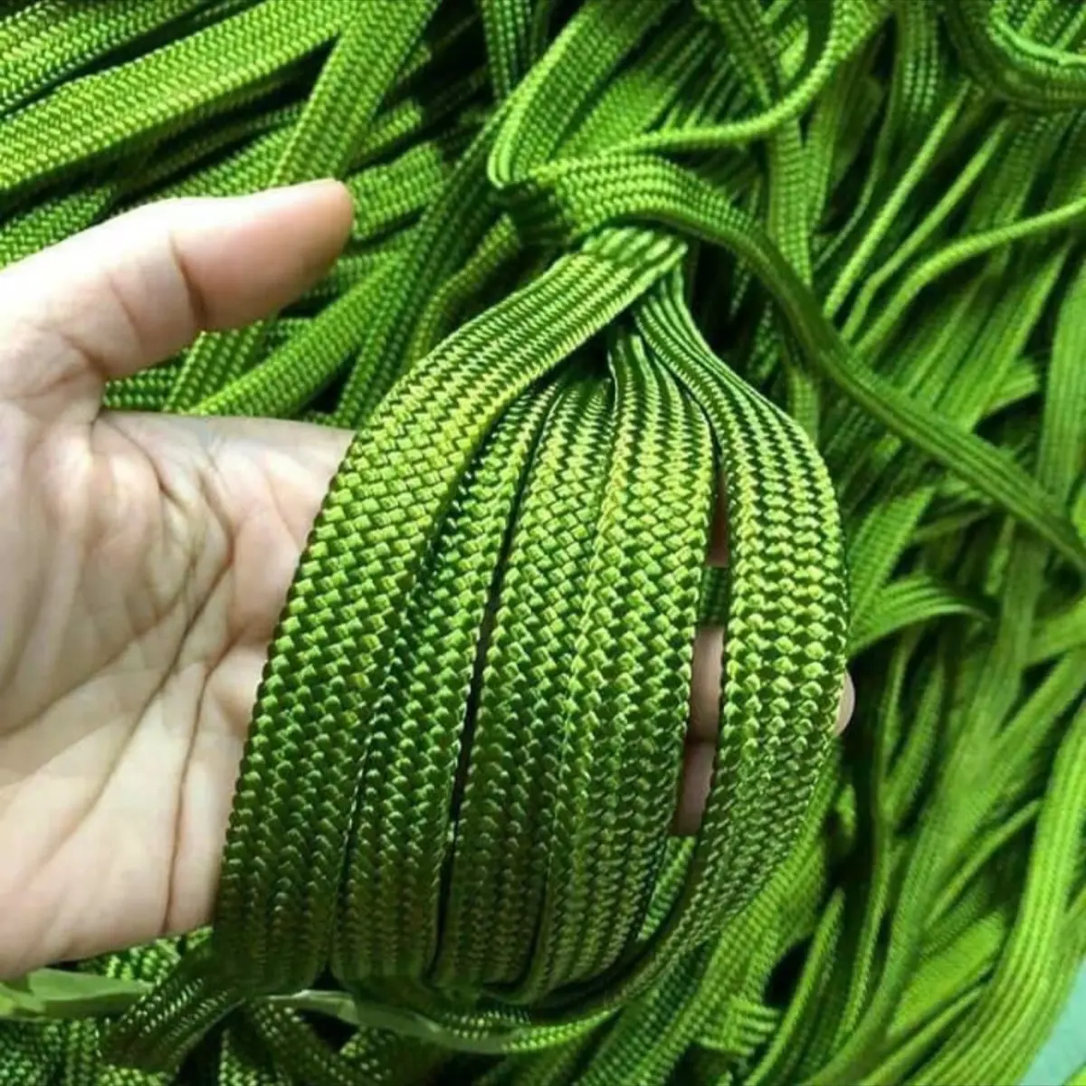 1 bó dây dù bóng chiều lực tốt, dài 20m. Dùng dăng võng, kéo đồ nặng