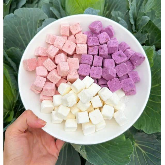 Sữa chua sấy thăng hoa vị trái cây - AN NHIÊN FOODS