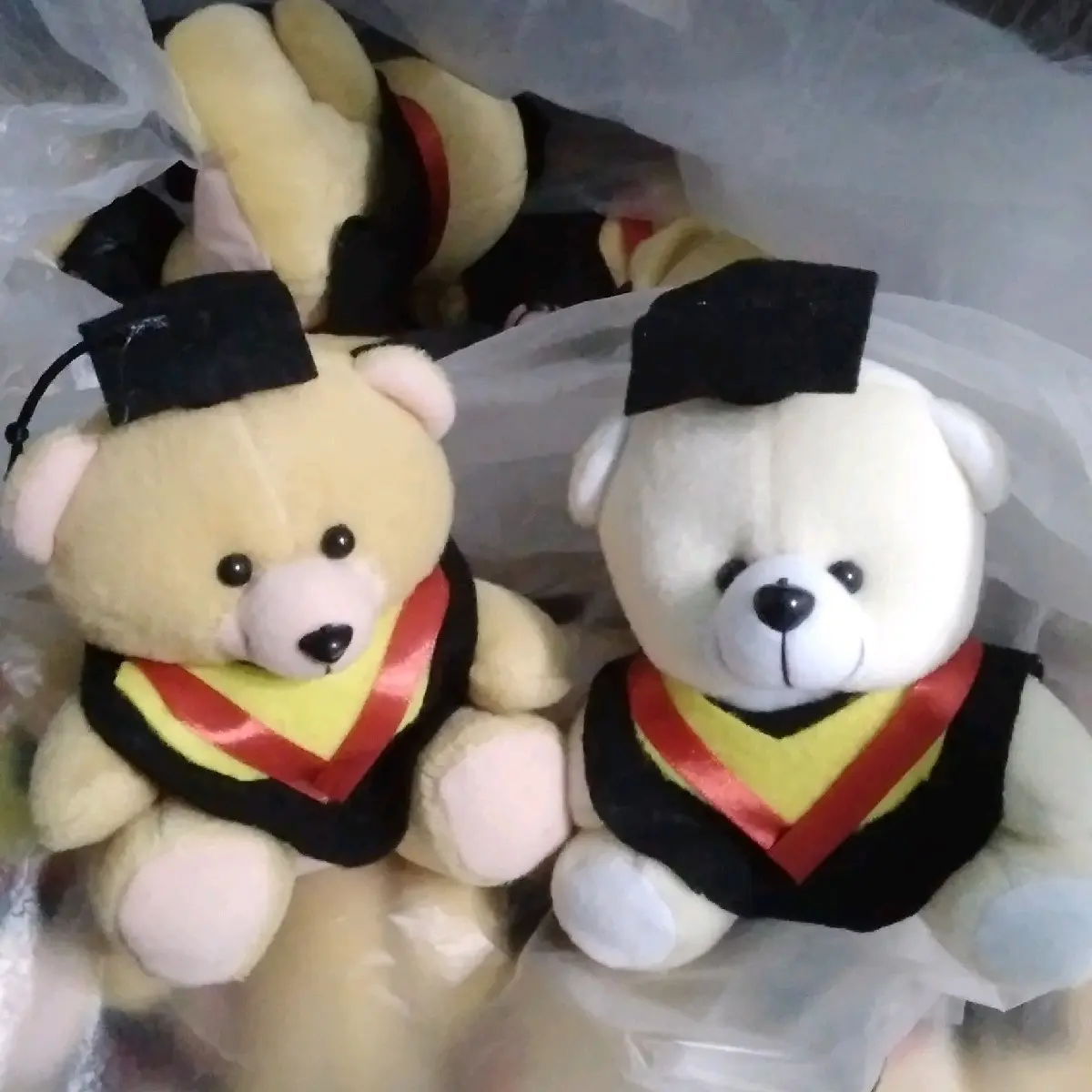 Boneka wisuda 14 cm hadiah wisuda custom nama