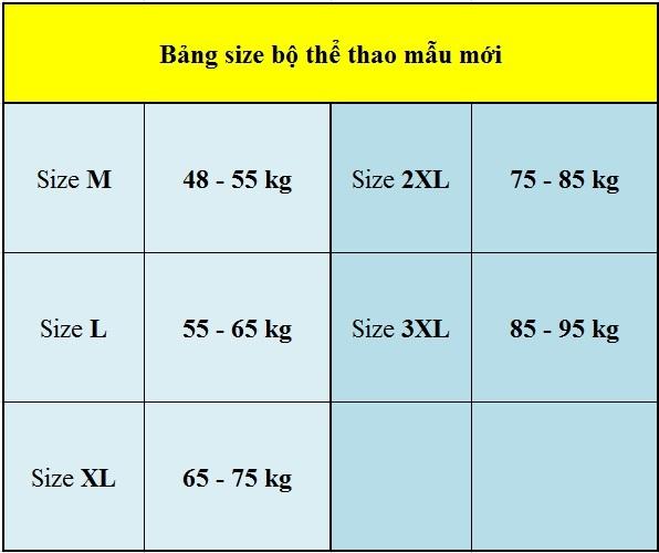 Bộ thể thao nam, Bộ thu đông hàng mới, Chất liệu Poly, Áo 2 lớp, Hàng kỹ, Phom chuẩn, Lên dáng bao đẹp... Sport Chạy Bộ Thể Dục 8