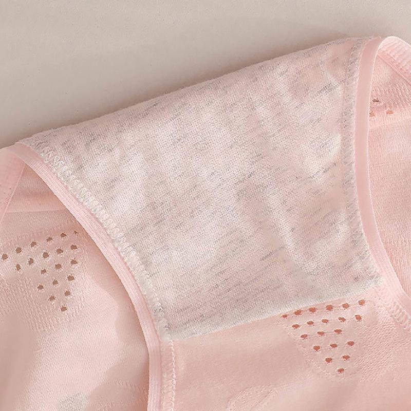 Product Introduction of Combo 5 Quần Lót Nữ Cotton Thông Hơi Thoáng Mát - Set 5 Quần Lót Cotton Cạp Vừa, Co Dãn Thoải  Mái ZANABRA LY06  Thun Voi Women 20