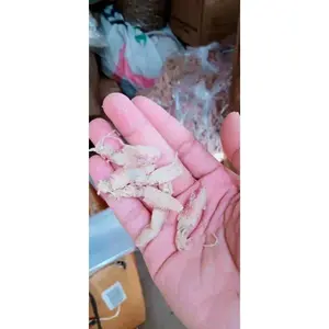 Baby Cumi asin kering 1000gram