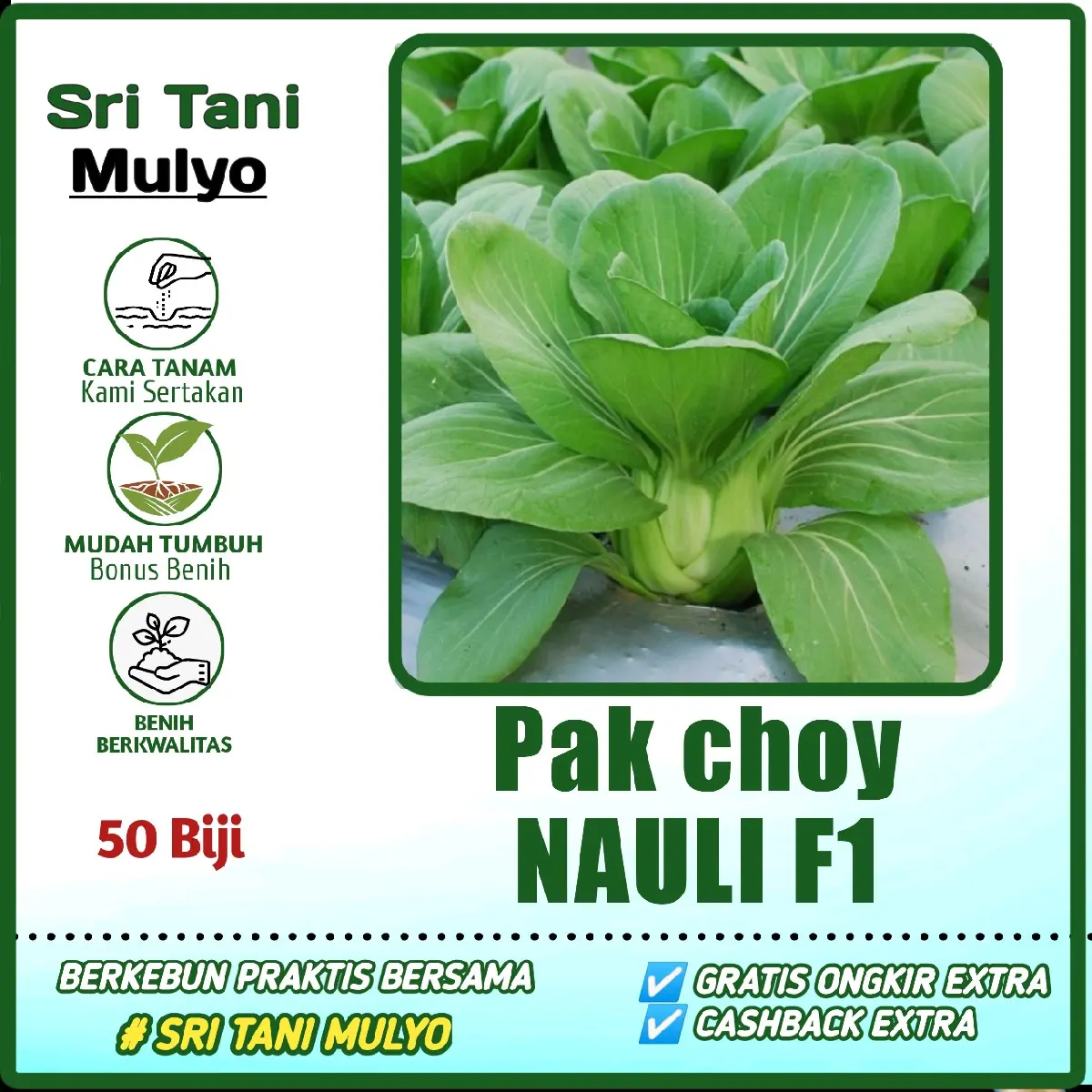 50 Biji - Benih Sawi PAK CHOY NAULI F1 - Cap Panah Merah Bibit Sayuran Sayur,  Benih Hidroponik