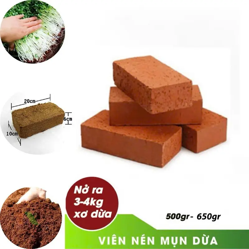 (COMBO 5 Viên) Đất trồng cây nén dạng viên sơ dừa hữu cơ vi sinh dinh dưỡng 1