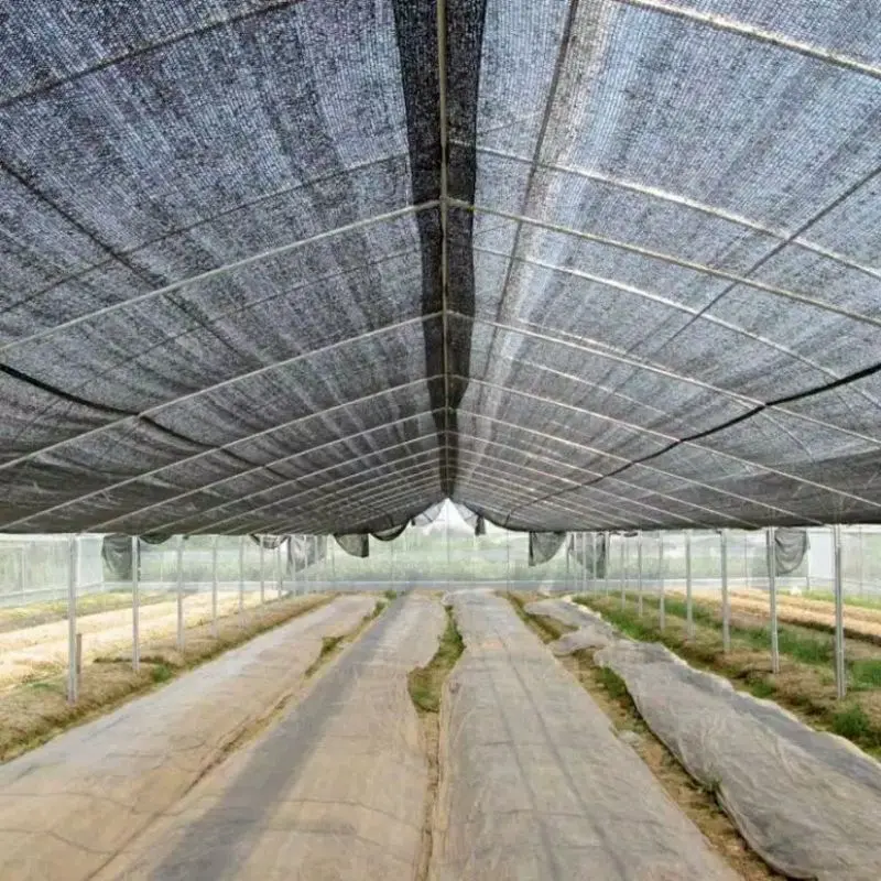 Jaring Paranet Lebar 3 Meter 90% Eceran MURAH Tanaman 4
