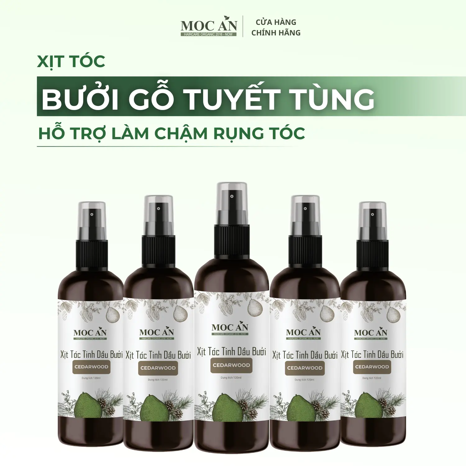 Combo 5 Chai Xịt Dưỡng Tóc Tinh Dầu Bưởi Gỗ Tuyết Tùng ( Cedarwood ) (Spray)  Mộc Ân Haircare 120ml