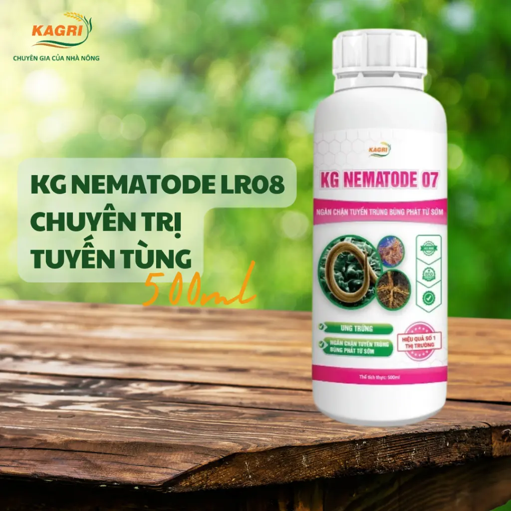 KG Nematode 07 - Phân bón ngăn tuyến trùnġ từ sớm, chống thối rễ, phân giải hữu cơ - KAGRI