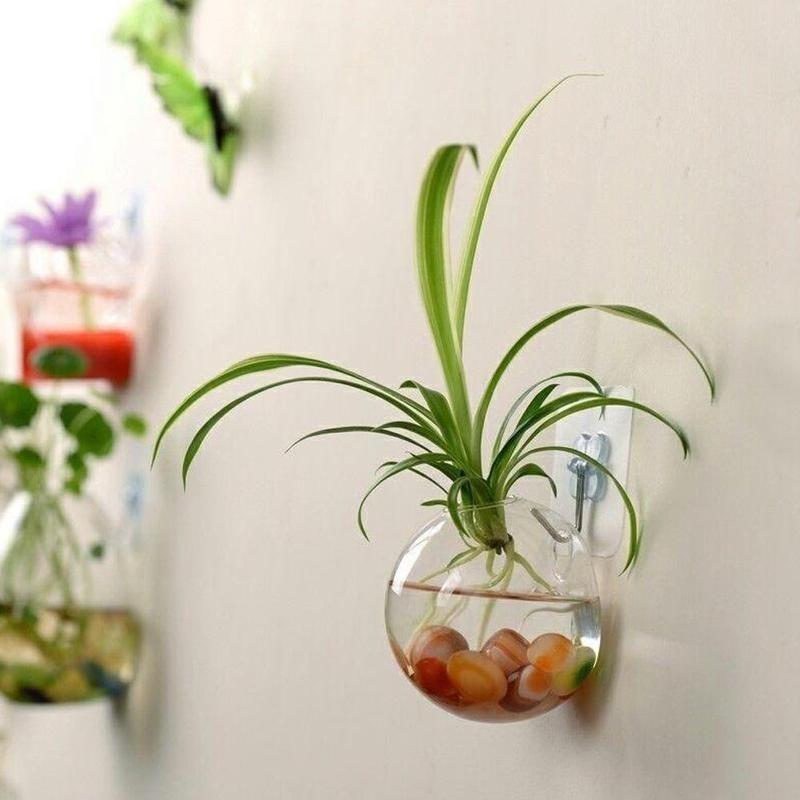 Bình Hoa Kính Treo Tường, Phong Cách Terrarium, Lò Xo Treo Tường, Chậu Cá, Thích Hợp Cho Bể Cá, Đồ Trang Trí Hoa, Trang Trí Nhà Cửa 7