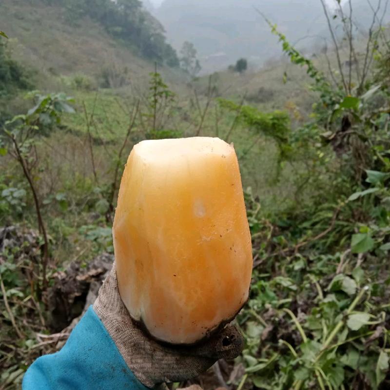 củ to 3kg khoai sâm khô giòn ngọt- thức ăn tự nhiên food