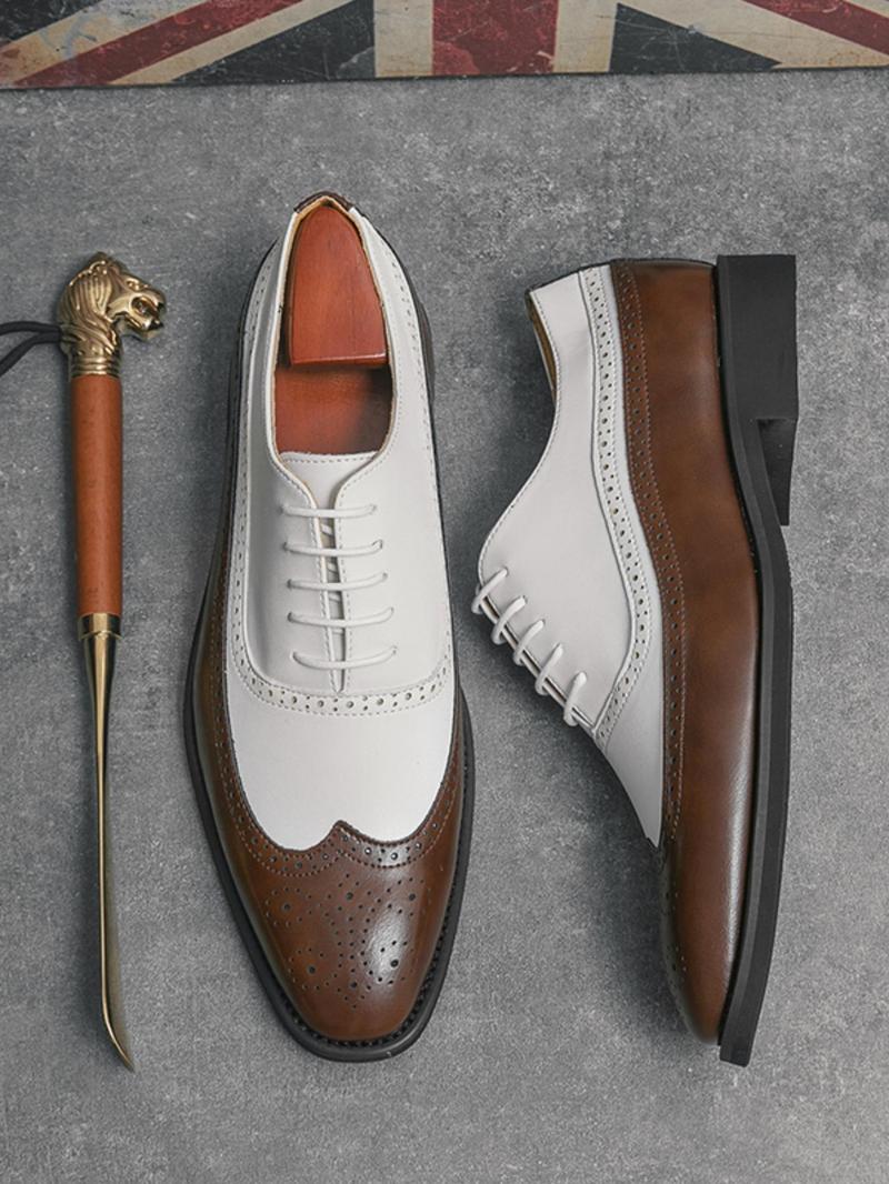 Product Introduction of Men's Fashionable Colorblock Lace Up Dress Shoes, Casual Comfortable Breathable Business Style Shoes for Work Office, Fashion Shoes for Party, Daily Clothing Decor 6