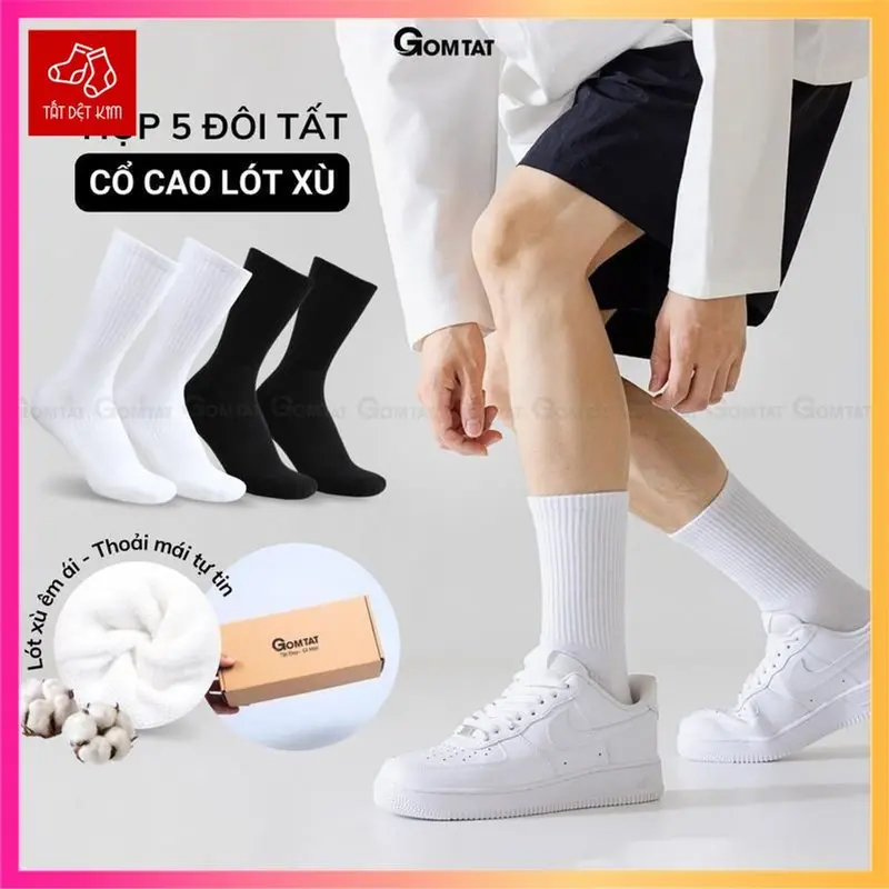 Hộp 5 đôi tất xù GOMTAT cổ cao trơn nam nữ, vớ cao cổ có đệm xù cotton mềm mại êm chân, hút ẩm, thoáng khí, khử mùi, Menswear - TATXU-TRON-CB5 0