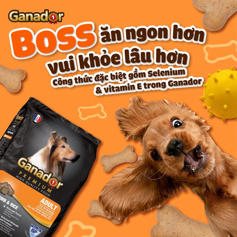 [ Combo 5 gói ] Thức ăn Ganador cho chó con, chó trưởng thành bịch 400g 4