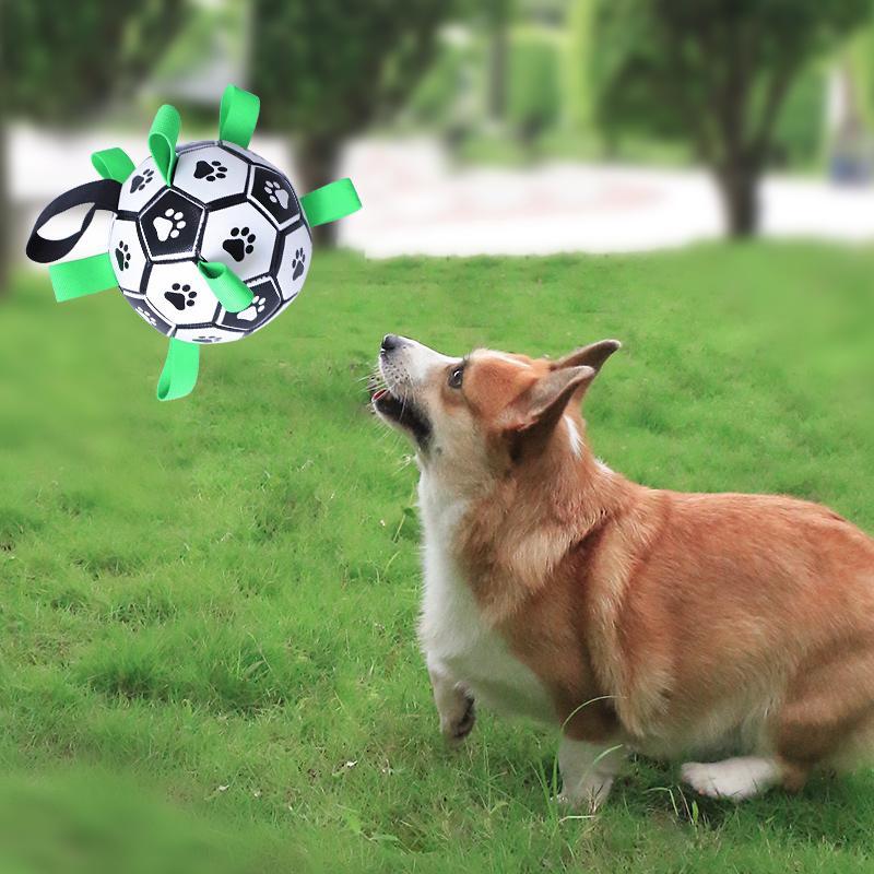 Dog Chew Toy with Built-in Strap, Bite Resistant Dog Teething Toy, Pet Interactive Balls, Dogs & Cats Accessories 3