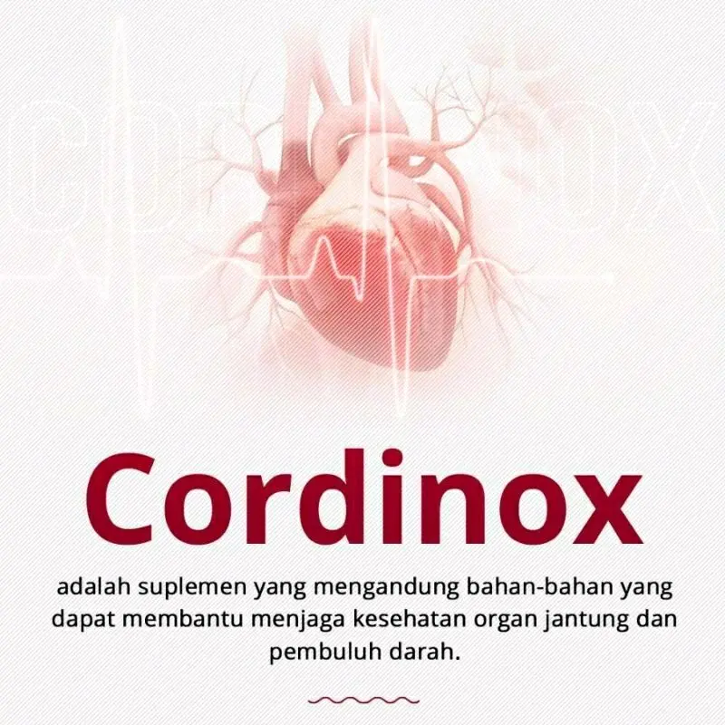 CORDINOX Asli Suplemen Menjaga Kesehatan Jantung dan Kolesterol 4