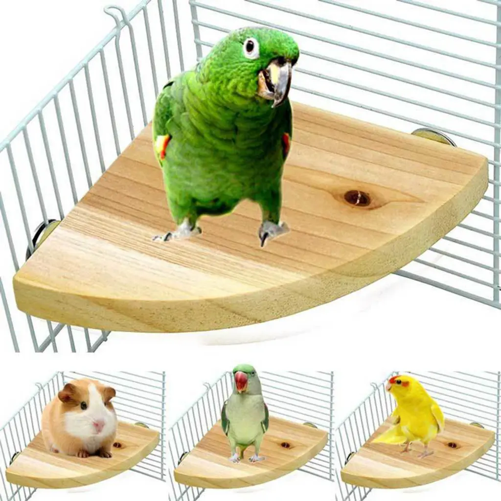 Udxizvk Bird Platform Fine Workmanship Compact Bird Perch Platform Multifunctional Parrot Perch Stand Branch Cage Accessories Wide Applicability