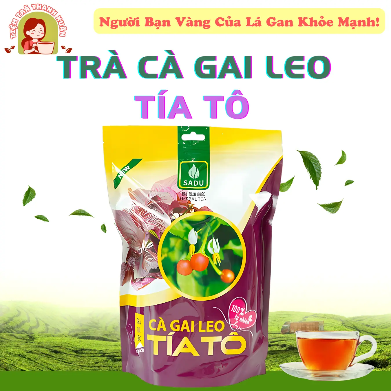 Cà Gai Leo TÍA TÔ SADU 250g (50 túi lọc) Hỗ Trợ Thanh Nhiệt Giải Độc Mát Gan - Nước  Tea Chè càgaileo Trắng Da Không Chua trị mụn Trà