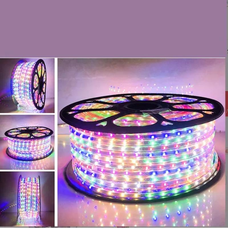 [30M] Led Dây 2835 Nhiều Màu Đuổi,1 Mét Có 48 Led Đúc Chống Nước Trang Trí Ngoài Trời, Sân Vườn, Nhà Cửa (tặng kèm nguồn nháy). 4