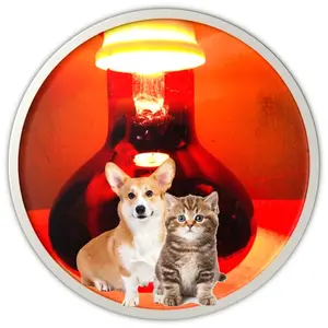 Bóng Đèn Hồng Ngoại