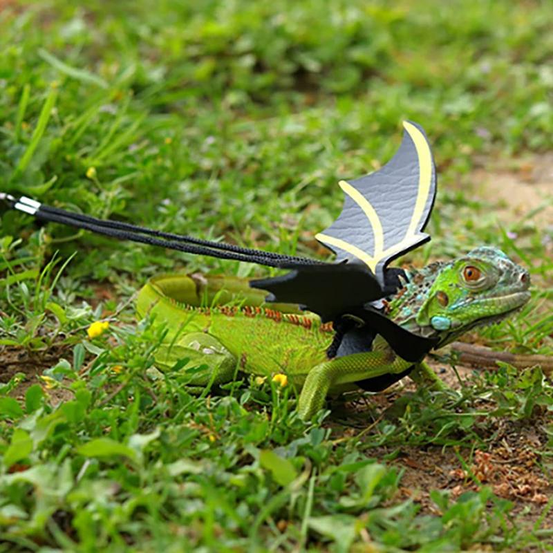 Product Introduction of Bearded Dragon Leash and Harness 3pcs Vest Adjustable Reptile Walking Leashes 63