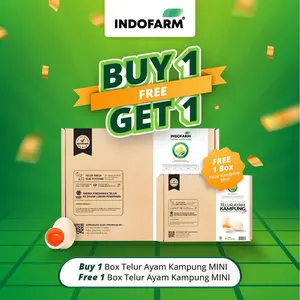 [BUY 1 GET 1 FREE] Telur Kampung MINI Organik Free 1 Box Telur Kampung MINI
