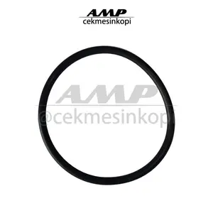 O-Ring Ø 55,56 x 3.53 mm Heating Element Mesin Espresso La Spaziale
