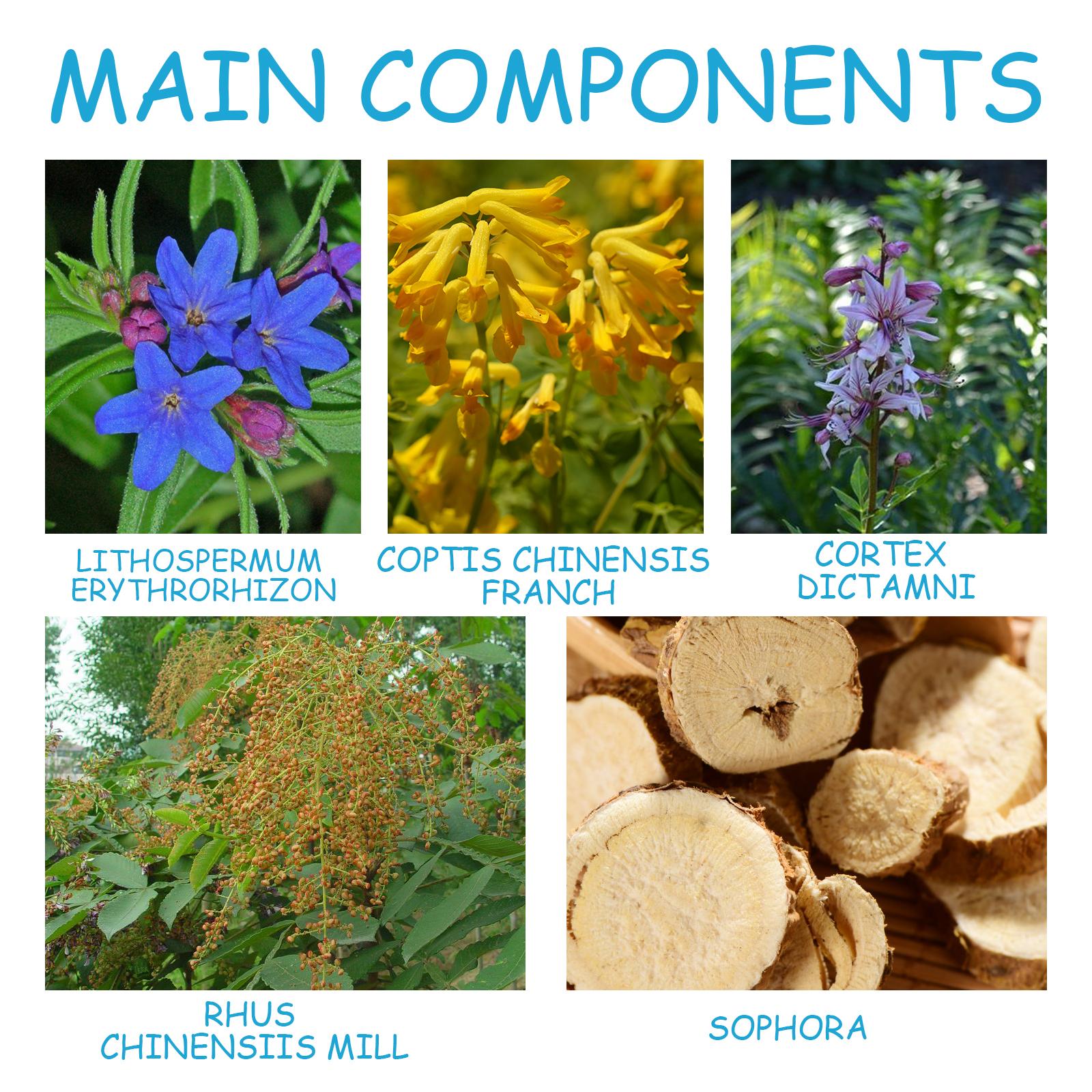 Semprotan Perawatan Lubang Telinga South Moon Pembersih Lubang Telinga Anti-Penyumbatan Pereda Nyeri Penghilang Bau Semprotan Pengurangan Pembengkakan