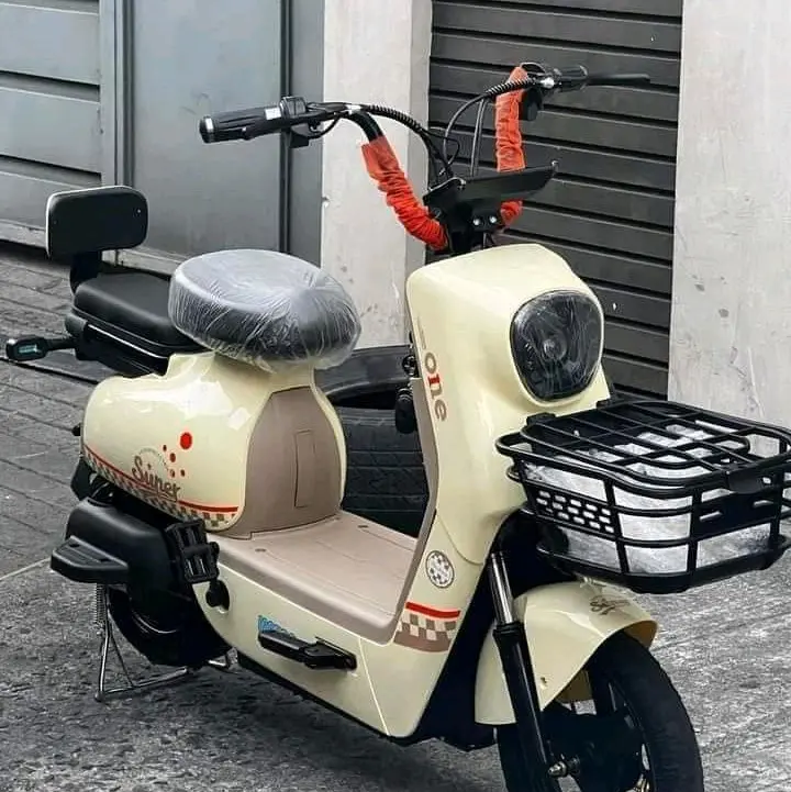 Vespa 2 wheels Electric-BIKE with pedal assist - TikTok Shop Philippines