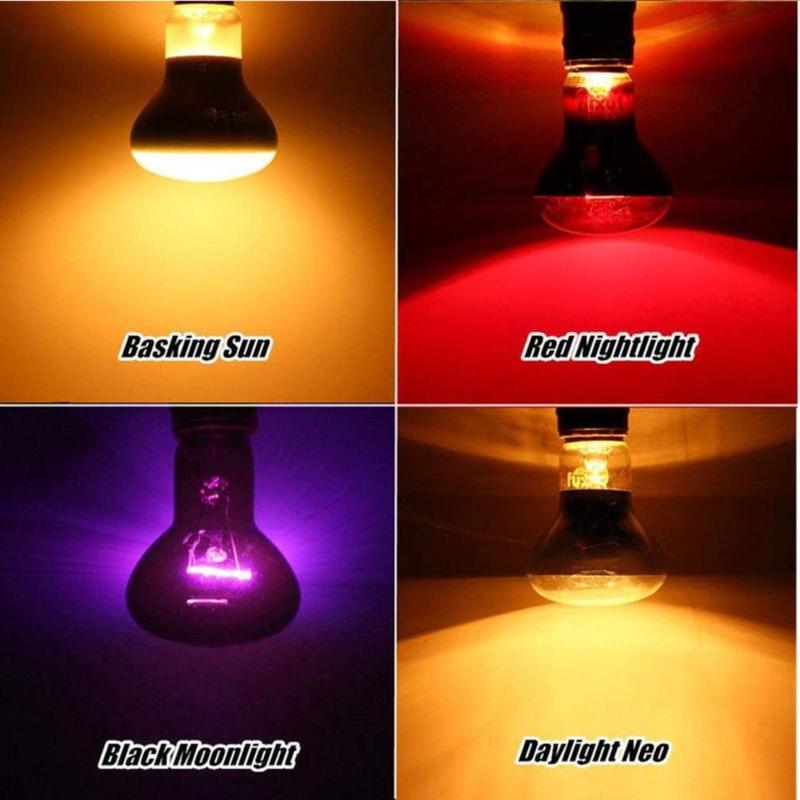 Product Introduction of Heat Preservation Light UVA Led Pet Heating Lamp Infrared Adjustable UVA Day Night Bulb 4 Kinds 25W/50W/75W/100W Reptile Heat Bulb Lizard 52