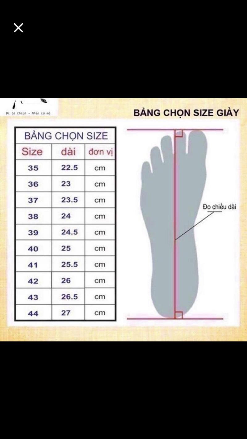 Product Introduction of Giày lolita nữ phong cách Hàn Quốc siêu xinh G70 0