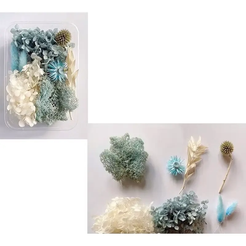 Hoa khô nhiều mẫu mới về dùng làm handmade, khung tranh, nến, sáp thơm, resin, trang trí. Kawaii - Thế giới hoa khô 7