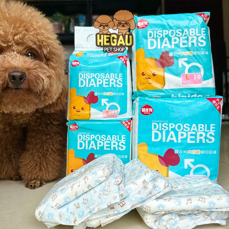 Tã cho chó đực thấm hút, khô thoáng [1 bịch 10 miếng]